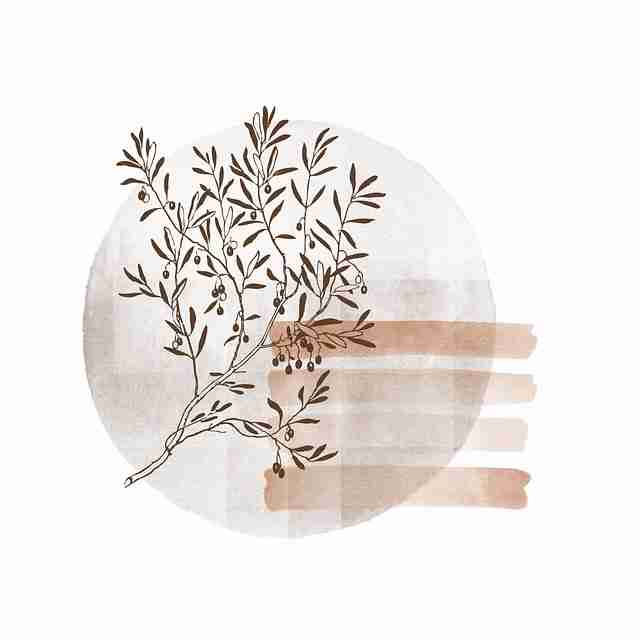 【现场】鉴黄师电脑版入门教程全纪实